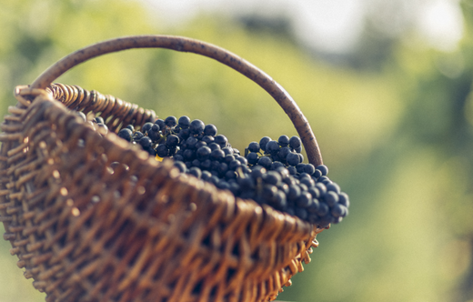 Oznaki zmęczenia na twarzy – jak z nimi walczyć?