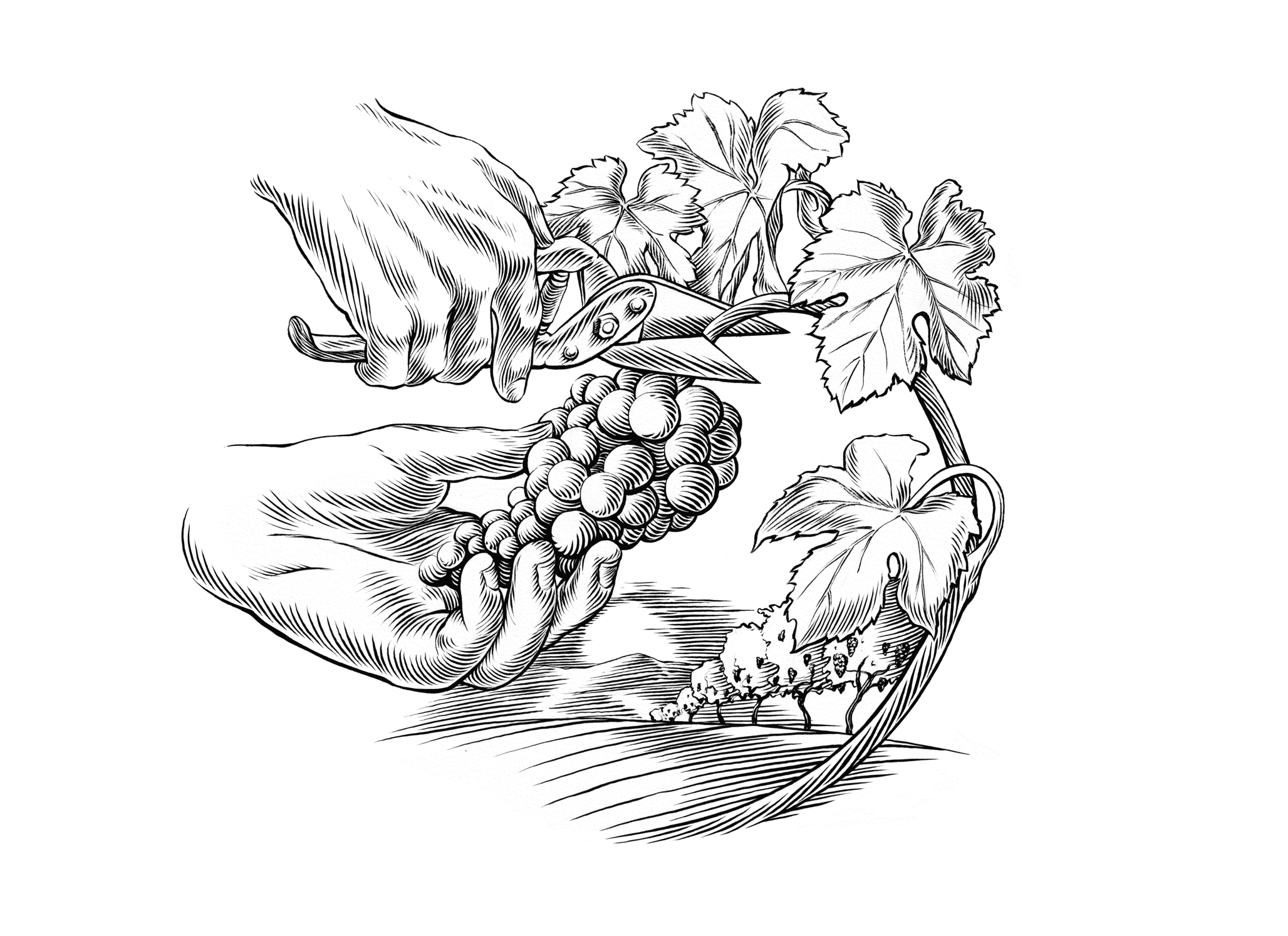 21.04_Scinanie_winogron_warsaw_labs2_1.png