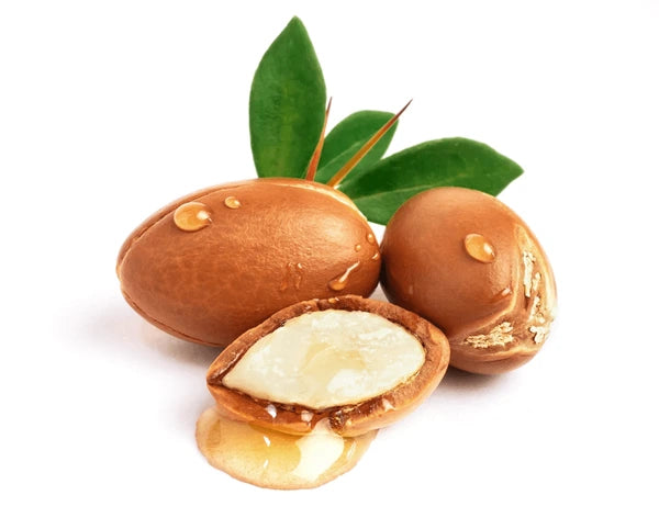 argan-nuts-green-leaves-on-600nw-2205721419.webp
