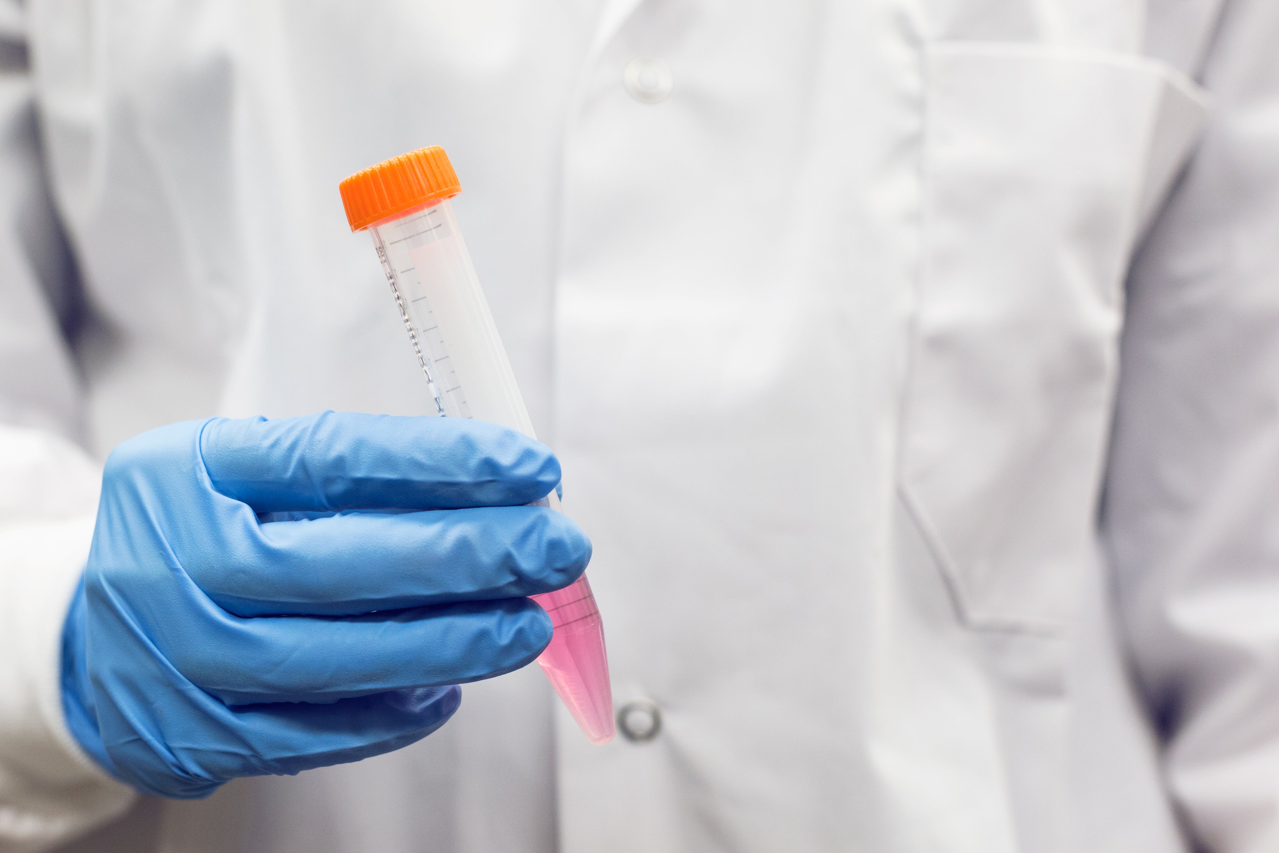 gloved-hand-and-test-tube.jpg