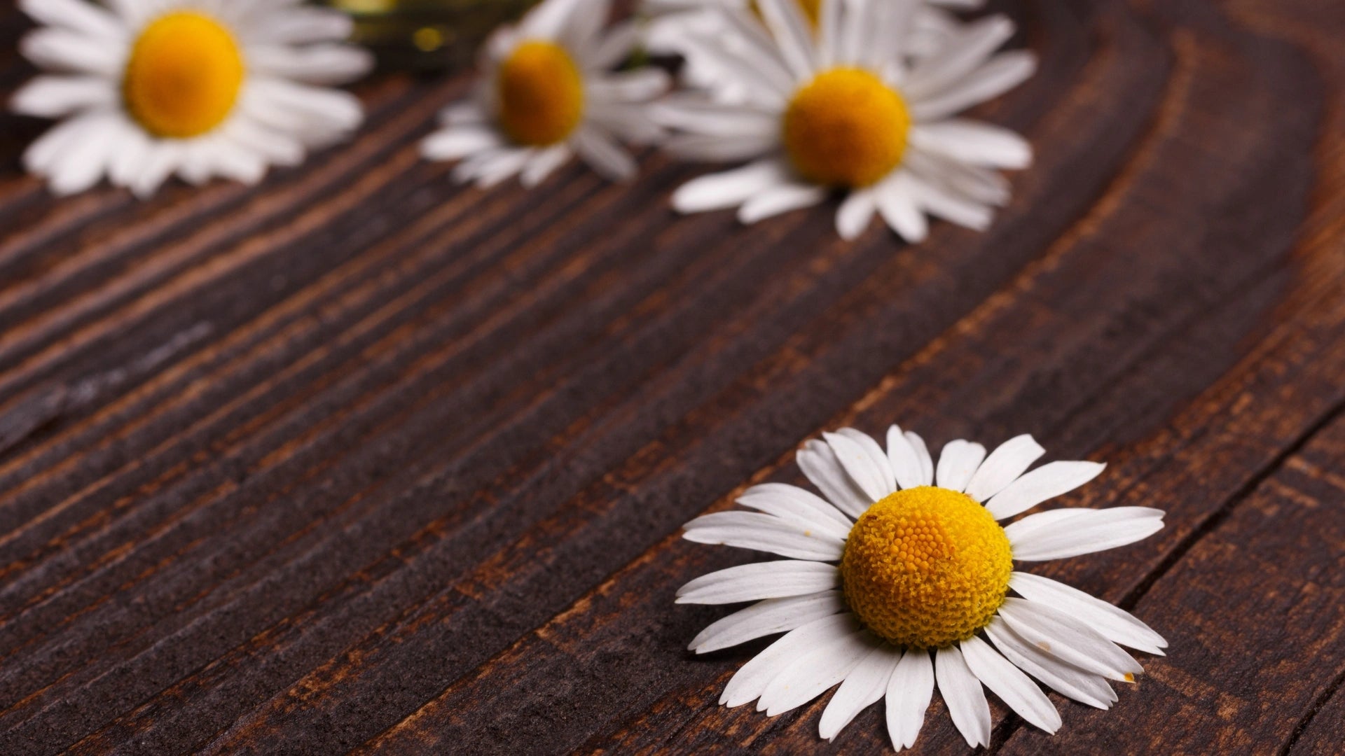 botticacosmetics-skladniki-header-img-bisabolol.webp